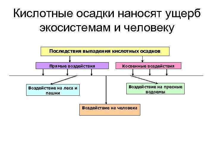 Кислотные осадки наносят ущерб экосистемам и человеку Последствия выпадения кислотных осадков Прямые воздействия Воздействие