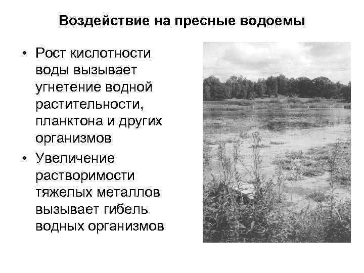 Воздействие на пресные водоемы • Рост кислотности воды вызывает угнетение водной растительности, планктона и