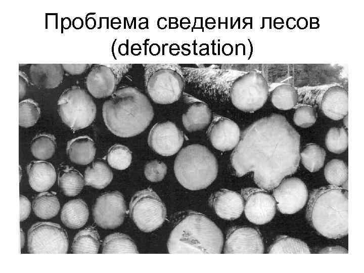 Проблема сведения лесов (deforestation) 