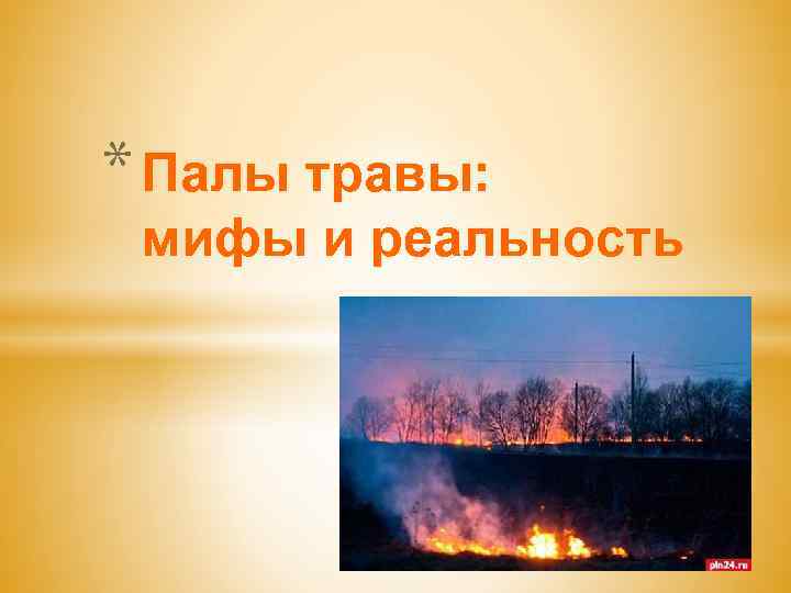 * Палы травы: мифы и реальность 