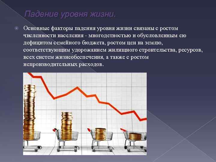 Падение уровня жизни. Основные факторы падения уровня жизни связаны с ростом численности населения многодетностью