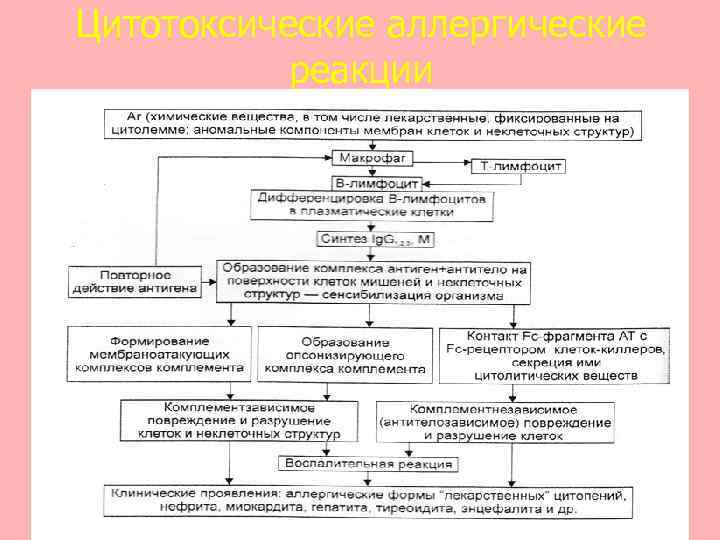 Цитотоксические аллергические реакции 