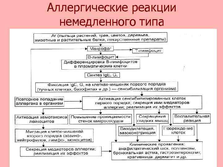 Аллергические реакции немедленного типа 