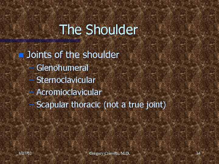 The Shoulder n Joints of the shoulder – Glenohumeral – Sternoclavicular – Acromioclavicular –