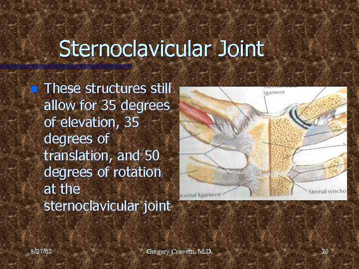 Sternoclavicular Joint n These structures still allow for 35 degrees of elevation, 35 degrees
