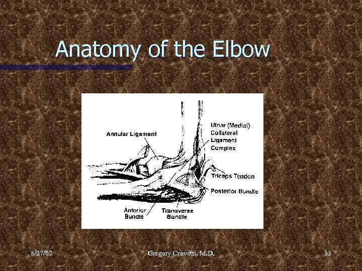 Anatomy of the Elbow 8/27/02 Gregory Crovetti, M. D. 33 