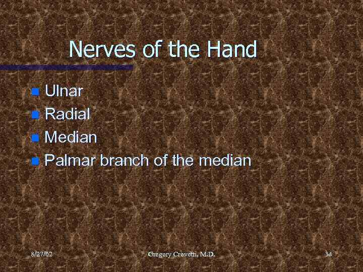 Nerves of the Hand Ulnar n Radial n Median n Palmar branch of the