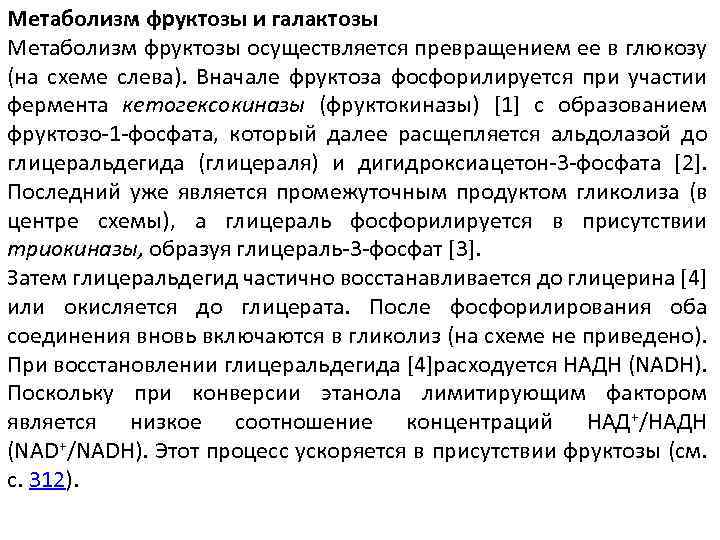 Метаболизм фруктозы и галактозы Метаболизм фруктозы осуществляется превращением ее в глюкозу (на схеме слева).