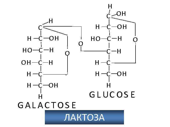 C H C OH HO C H OH H O HO C H H