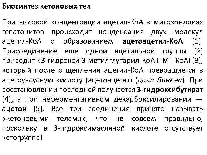 Биосинтез кетоновых тел При высокой концентрации ацетил-Ко. А в митохондриях гепатоцитов происходит конденсация двух