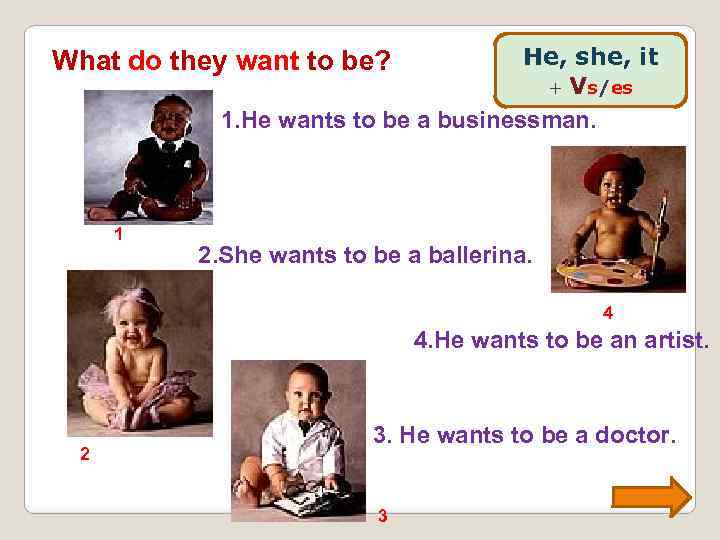 He, she, it + Vs/es 1. He wants to be a businessman. What do
