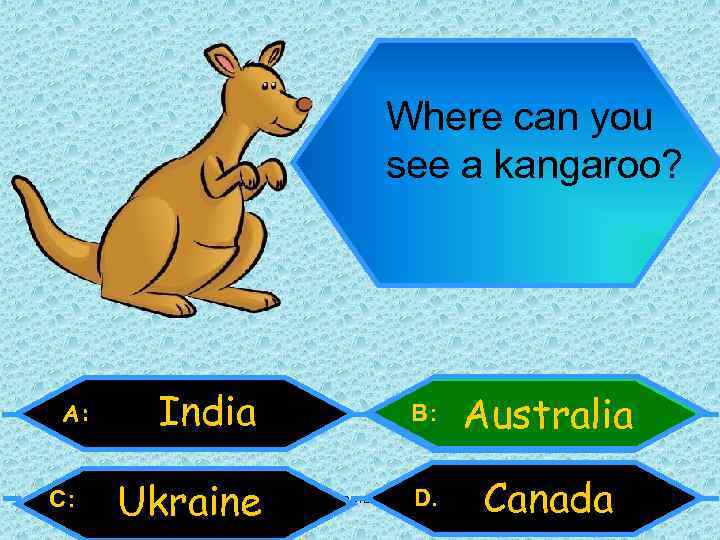 Where can you see a kangaroo? A: C: India B: Australia Ukraine D. Canada