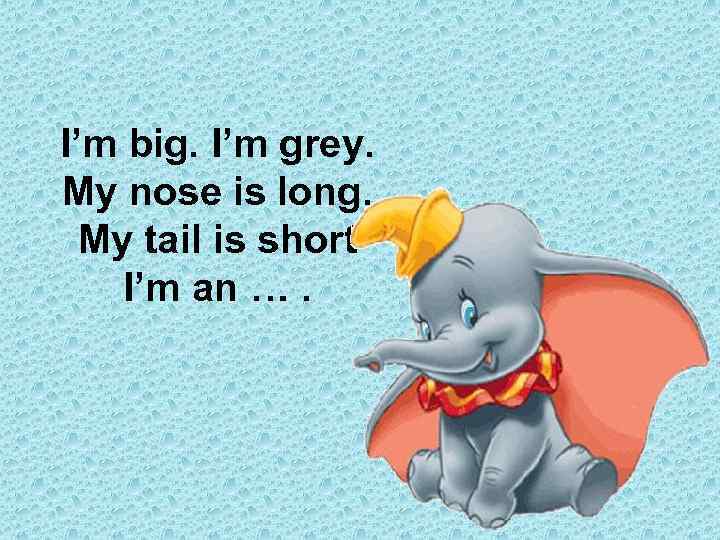 I’m big. I’m grey. My nose is long. My tail is short I’m an