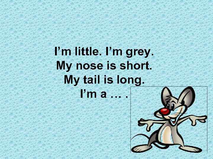 I’m little. I’m grey. My nose is short. My tail is long. I’m a