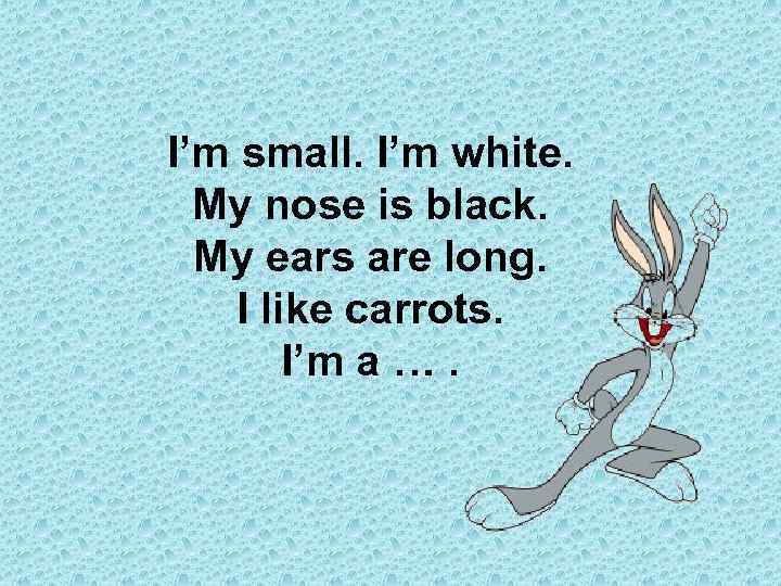I’m small. I’m white. My nose is black. My ears are long. I like