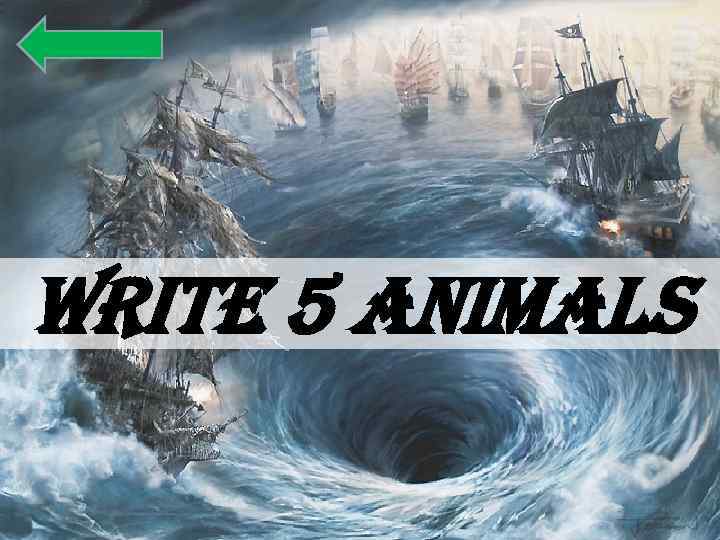 write 5 animals 