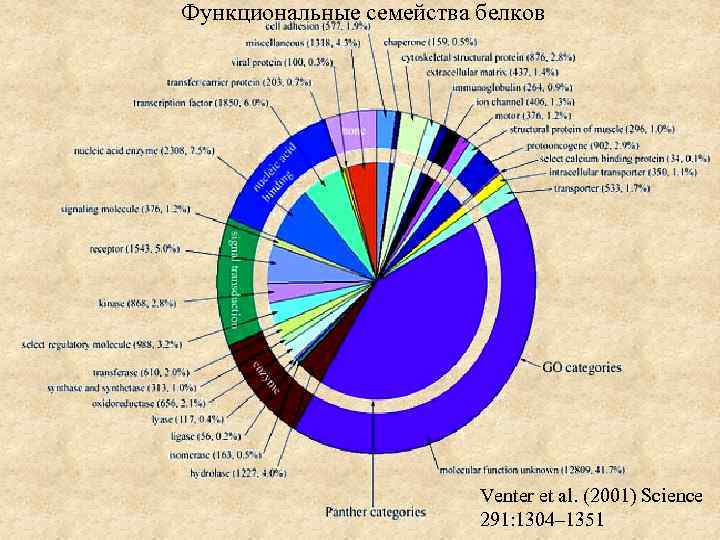 Функциональные семейства белков Venter et al. (2001) Science 291: 1304– 1351 