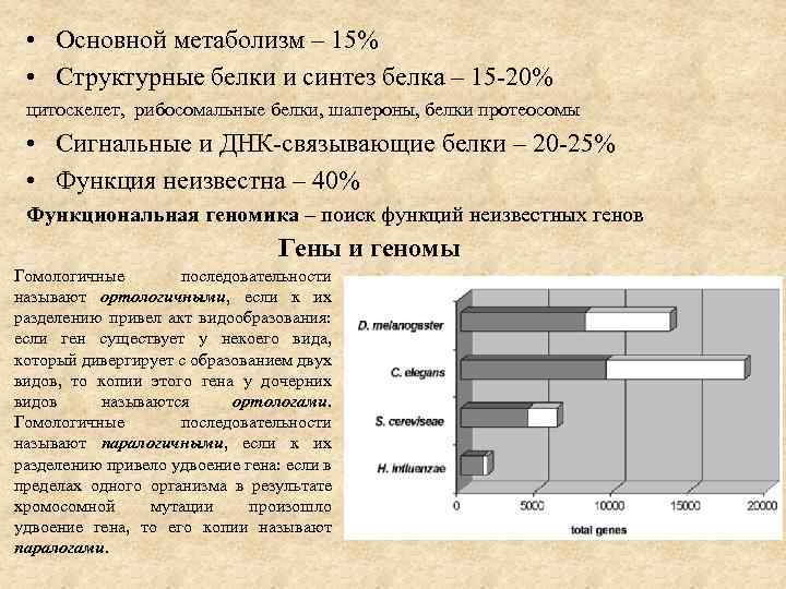  • Основной метаболизм – 15% • Структурные белки и синтез белка – 15