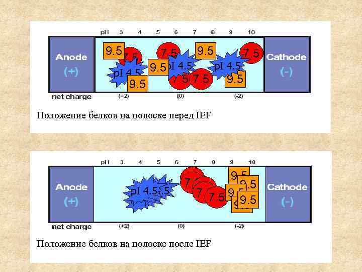 Заряд положение