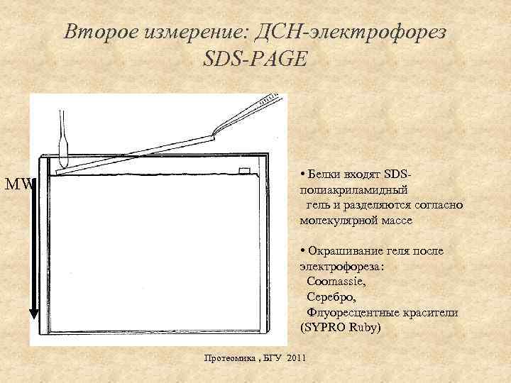 Второе измерение