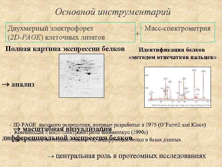 Электрофорез никотиновой