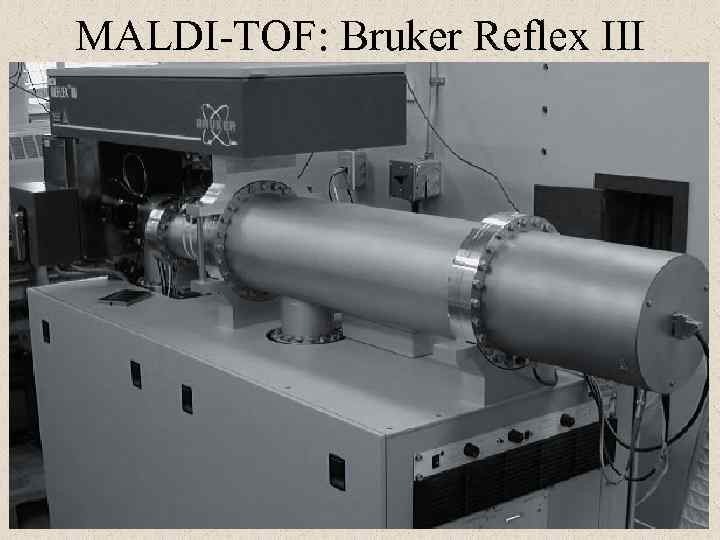 MALDI-TOF: Bruker Reflex III 