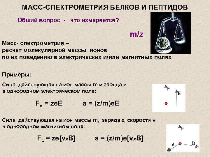 МАСС-СПЕКТРОМЕТРИЯ БЕЛКОВ И ПЕПТИДОВ Общий вопрос - что измеряется? m/z Масс- спектрометрия – расчет