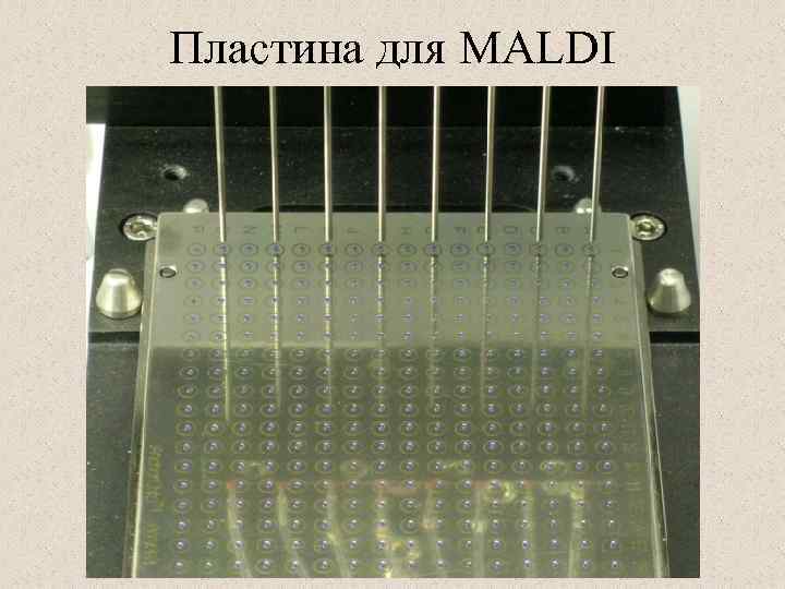 Пластина для MALDI 
