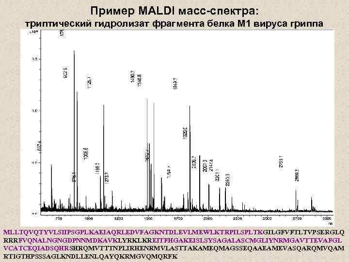 Пример MALDI масс-спектра: триптический гидролизат фрагмента белка М 1 вируса гриппа MLLTQVQTYVLSIIPSGPLKAEIAQRLEDVFAGKNTDLEVLMEWLKTRPILSPLTKGILGFVFTLTVPSERGLQ RRRFVQNALNGNGDPNNMDKAVKLYRKLKREITFHGAKEISLSYSAGALASCMGLIYNRMGAVTTEVAFGL VCATCEQIADSQHRSHRQMVTTTNPLIRHENRMVLASTTAKAMEQMAGSSEQAAEAMEVASQARQMVQAM