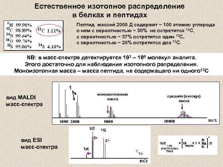 Естественное изотопное распределение в белках и пептидах Пептид массой 2000 Д содержит ~ 100
