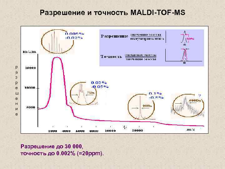 Разрешение и точность MALDI-TOF-MS р а з р е ш е н и е