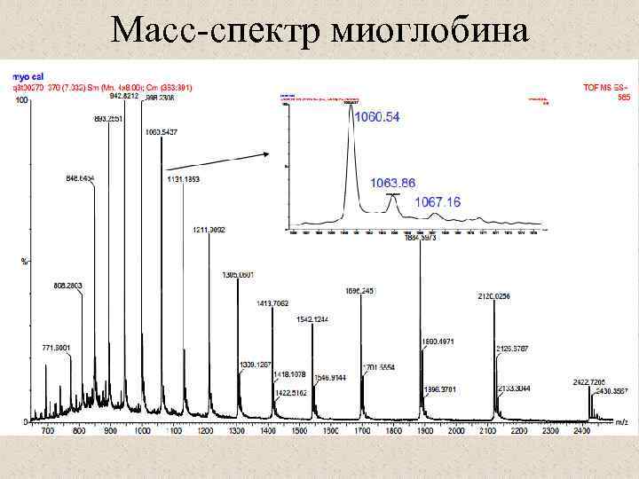 Масс-спектр миоглобина 