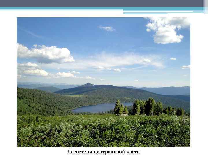 Лесостепи центральной части 