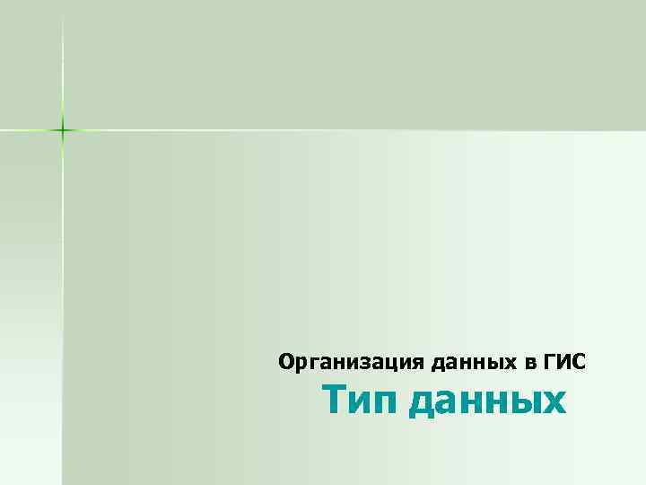 Организация данных в ГИС Тип данных 