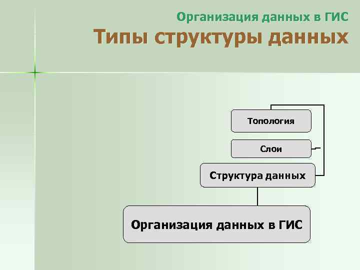 Организация данных в ГИС Типы структуры данных Топология Слои Структура данных Организация данных в