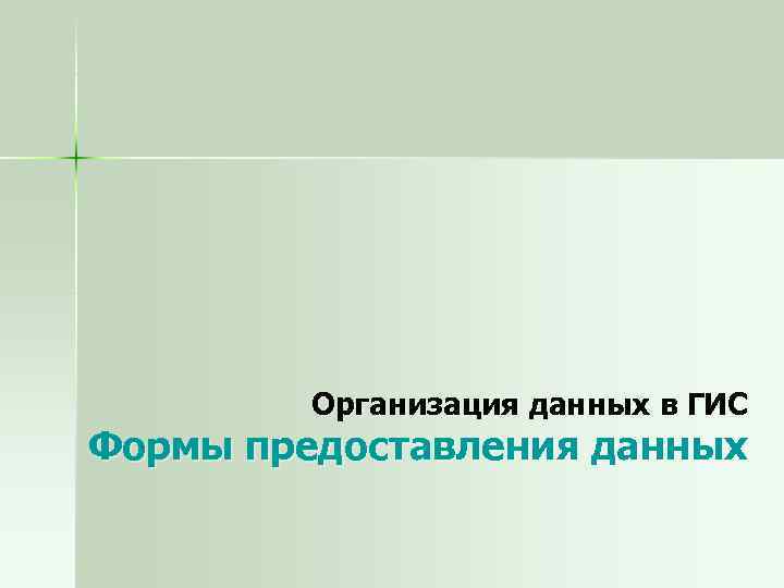 Организация данных в ГИС Формы предоставления данных 