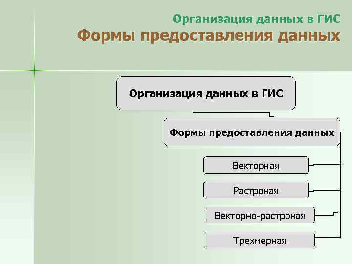 Организация данных в ГИС Формы предоставления данных Векторная Растровая Векторно-растровая Трехмерная 