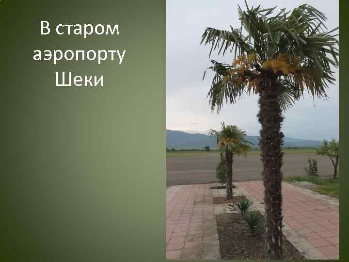 В старом аэропорту Шеки 