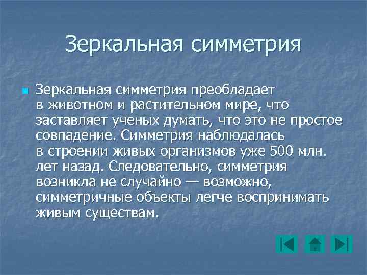 Зеркальная симметрия n Зеркальная симметрия преобладает в животном и растительном мире, что заставляет ученых