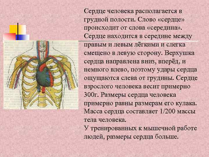 В сердце происходит какой