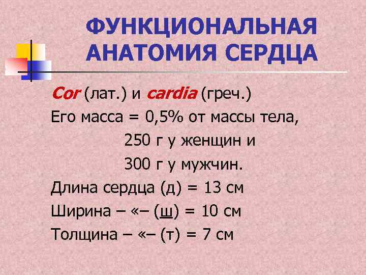 ФУНКЦИОНАЛЬНАЯ АНАТОМИЯ СЕРДЦА Cor (лат. ) и cardia (греч. ) Его масса = 0,