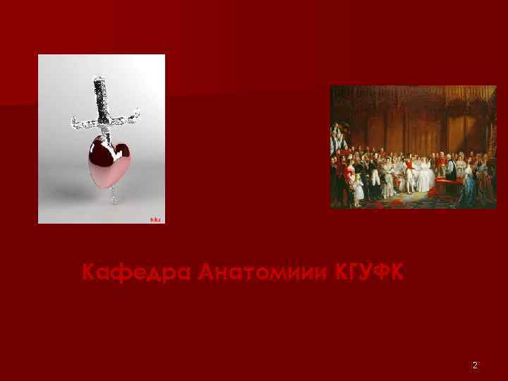 Кафедра Анатомиии КГУФК 2 