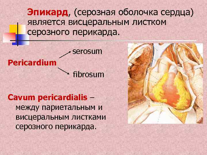 Эпикард топливная карта