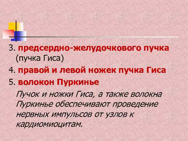 3. предсердно-желудочкового пучка (пучка Гиса) 4. правой и левой ножек пучка Гиса 5. волокон