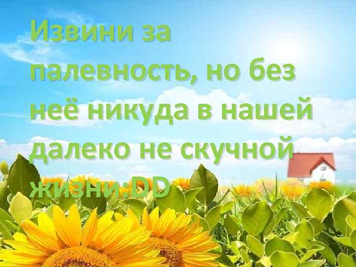 Извини за палевность, но без неё никуда в нашей далеко не скучной жизни: DD