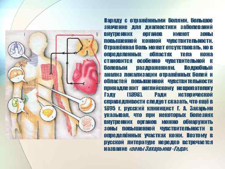 Наряду с отражёнными болями, большое значение для диагностики заболеваний внутренних органов имеют зоны повышенной