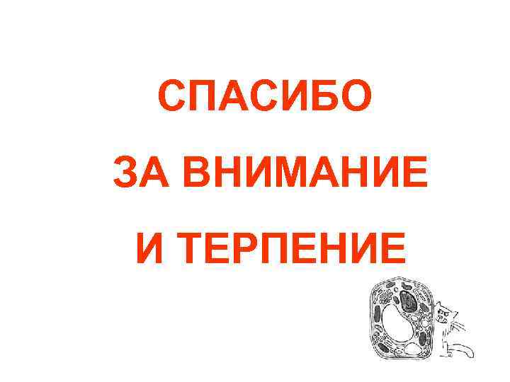 СПАСИБО ЗА ВНИМАНИЕ И ТЕРПЕНИЕ 