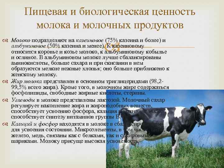 Пищевая и биологическая ценность молока и молочных продуктов Молоко подразделяют на казеиновое (75% казеина