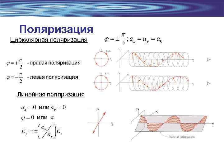 Поляризация Циркулярная поляризация Линейная поляризация 
