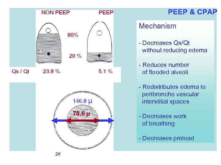 NON PEEP & CPAP Mechanism 80% - Decreases Qs/Qt without reducing edema 20 %